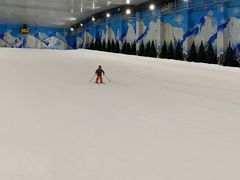 -石林冰雪海洋世界
