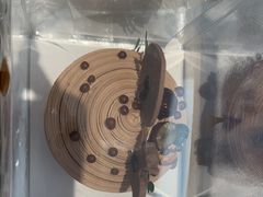 -LanTa蓝塔烘焙(中原万达店)