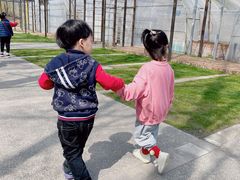 -前小桔亲子创意农场·草莓采摘·露营烧烤