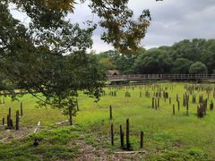 -河姆渡遗址博物馆