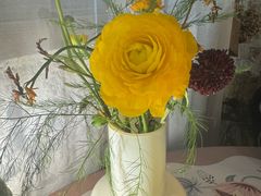 -Jo's Garden