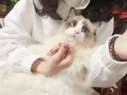 -TTNAIL天天美甲