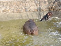 -青岛森林野生动物世界