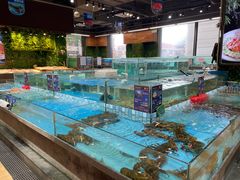-宝燕海鲜(好爱店)