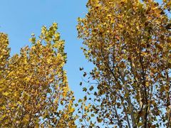 -滨河世纪广场公园