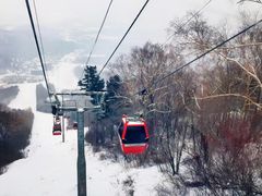 -亚布力新体委滑雪场