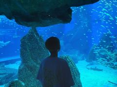 -海合安成都极地海洋公园
