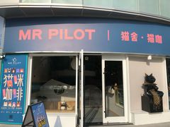 门面-飞行喵MR PILOT|猫舍·猫咖(静安大融城店)