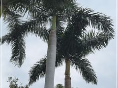 -广州市白云山风景名胜区
