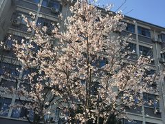 -江南大学(蠡湖校区)