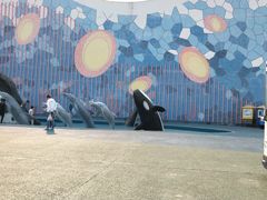 -大连圣亚海洋世界