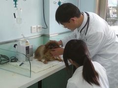 -纳吉亚猫专科动物医院博雅分院