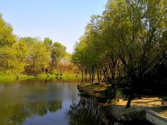 -新江湾城公园