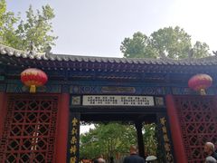 -大槐树寻根祭祖园