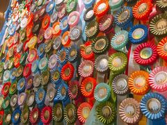 -more than meow吴止猫主题餐厅(承德 中船汇店)