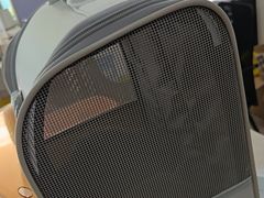 -佳雯宠物医院·皮肤科·内外科(春晓路分院)