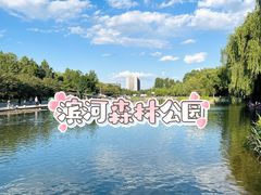 -大兴滨河森林公园