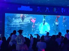 -多彩贵州城极地海洋世界