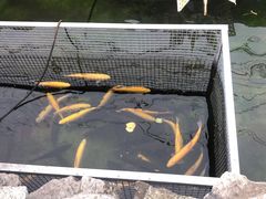 -京北渔家傲
