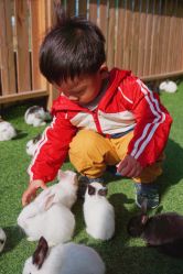 -萌宠亲子动物乐园(槐房万达店)