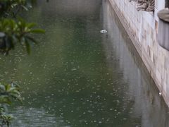 -九龙潭景区