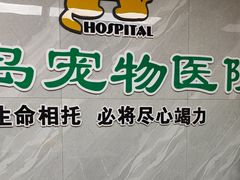 -半岛宠物医院24小时(白果林店)