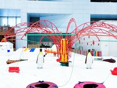 -哈尔滨热雪奇迹