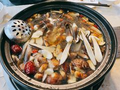 老鸡汤-蘑统田下·野生菌火锅