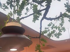 -鱼你相聚·河鲜馆(袁家岭店)