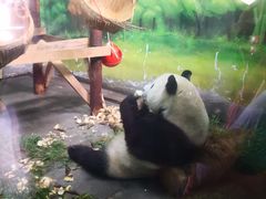 -无锡动物园·太湖欢乐园