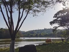 -番禺大夫山森林公园