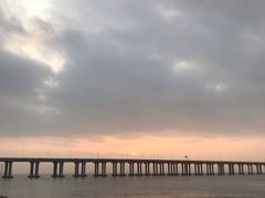 -宝安西湾红树林湿地公园