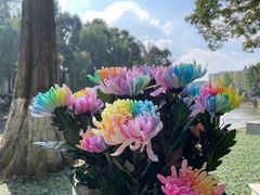 -温江公园