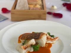 -蝶舍·MAISON PAPILLON