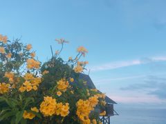 -卡帕莱度假村(西巴丹岛)