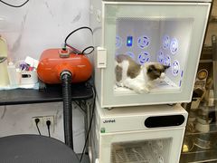 -PETKIT 小佩宠物·低压洗护·美容·寄养(安远店)