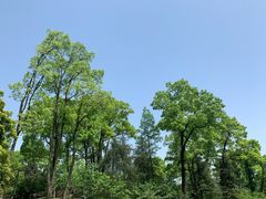 -南山植物园