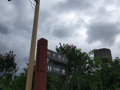 -会仙湿地
