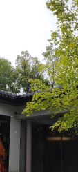 -爱儿美儿童摄影(朝阳公园店)