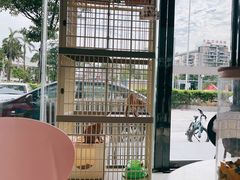 -乐琪宠物医院·犬猫专科·骨外科·急重症
