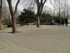 -玲珑塔公园