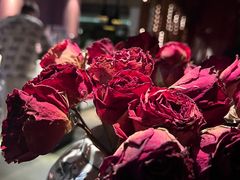 -都氏家DUSJOY(翡翠城店)