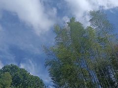 -苏州环秀晓筑养生度假村