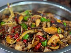 -食神又名厕所兔