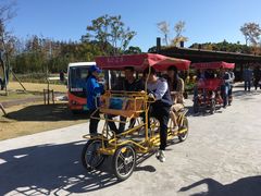 -上海长兴岛郊野公园