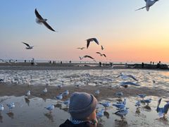 -老虎石海上公园