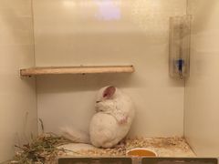 -龙猫仔乐园(惠福东路店)