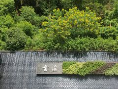 -云溪植物园