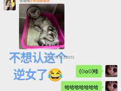 -宠颐生宠物医院外科·内科·皮肤科·影像科(石龙店)