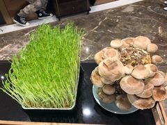 -捞神汤物料理(正大广场店)